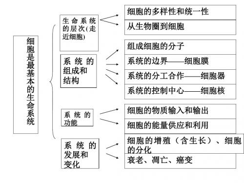 必修一第一章第2节细胞的统一性和多样性