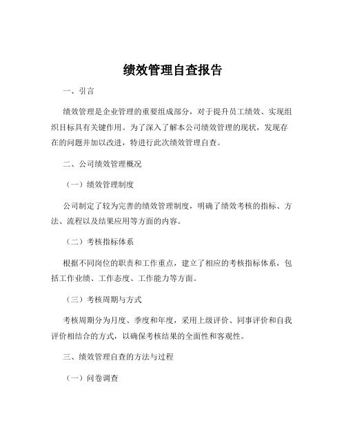 绩效管理自查报告