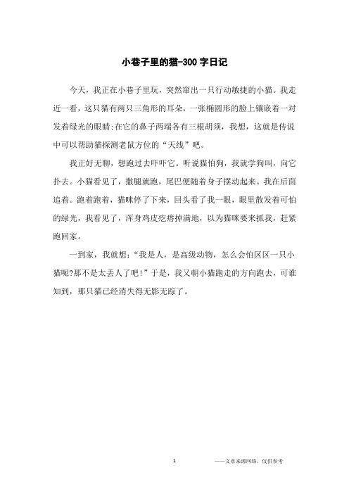 小巷子里的猫-300字日记