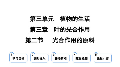 3.3.2 光合作用的原料 课件-冀少版生物八年级上册