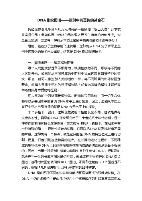 DNA指纹图谱——辨别中药真伪的试金石