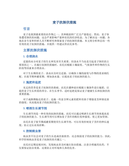 麦子抗倒伏措施