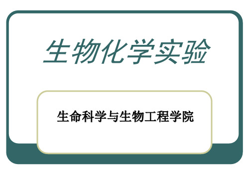 生化实验PCR引物设计及相关软件使用