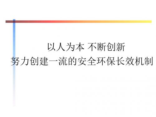[自我管理与提升]石化公司安全管理经验交流