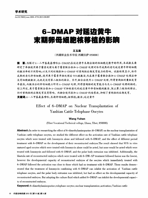 6-DMAP对延边黄牛末期卵母细胞核移植的影响