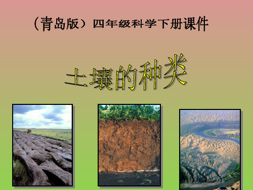 青岛版科学三下《土壤的种类》PPT课件2
