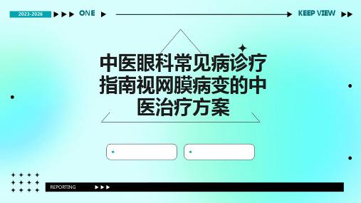 中医眼科常见病诊疗指南视网膜病变的中医治疗方案