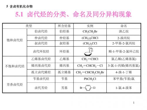 卤代烃的分类命名及同分异构现象