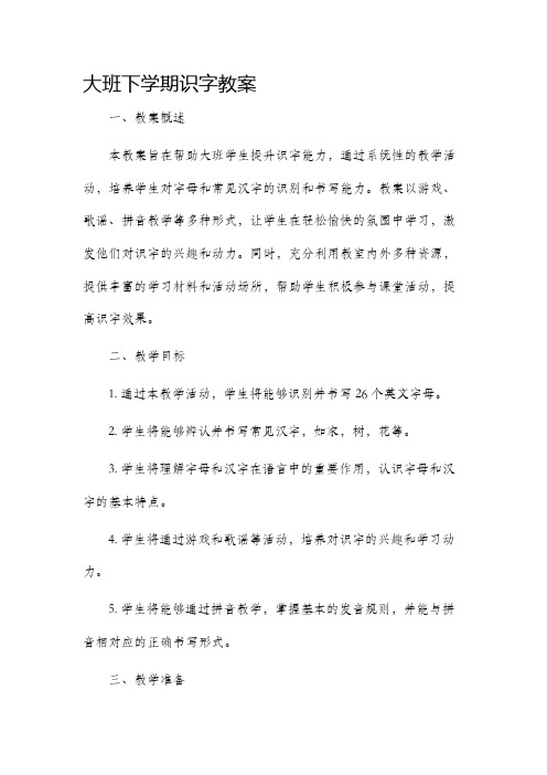 大班下学期识字市公开课获奖教案省名师优质课赛课一等奖教案