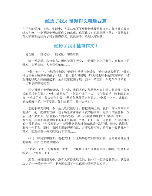 经历了我才懂得作文精选四篇