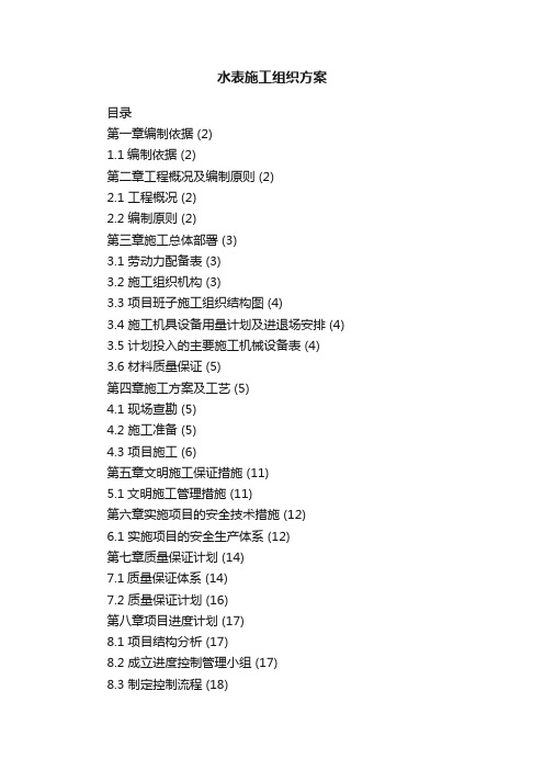 水表施工组织方案