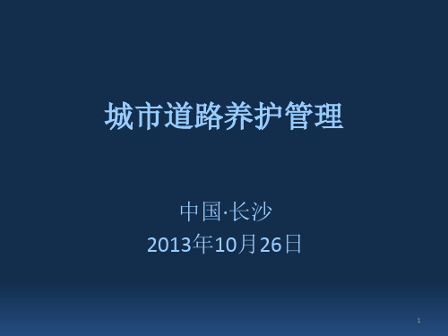 城市道路养护管理(ppt文档)