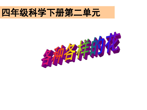 教科版小学四年级下册科学 第二单元 新的生命 2 各种各样的花