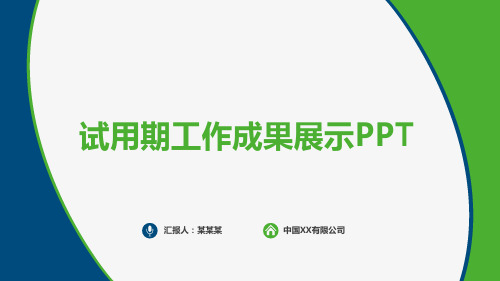 试用期工作成果展示PPT