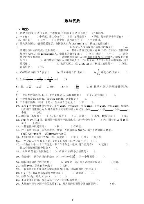 通用版数学六年级下册总复习专题:数与代数 含答案