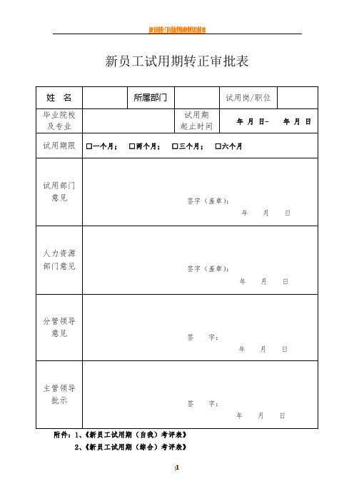 新员工试用期转正审批表(通用)