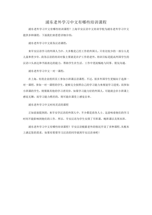 浦东老外学习中文有哪些培训课程