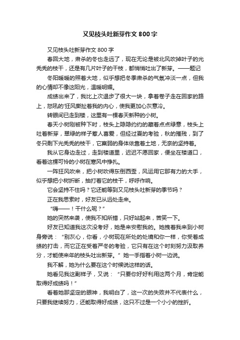 又见枝头吐新芽作文800字