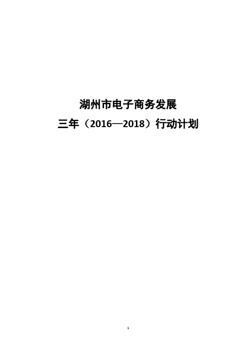 【精详】关于湖州市电子商务发展三年(2016—2018)规划项目可行性方案