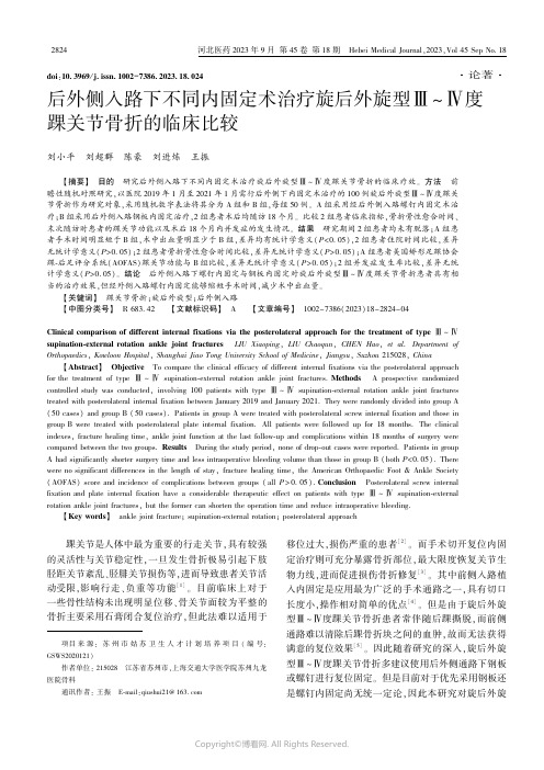 后外侧入路下不同内固定术治疗旋后外旋型Ⅲ～Ⅳ度踝关节骨折的临床比较