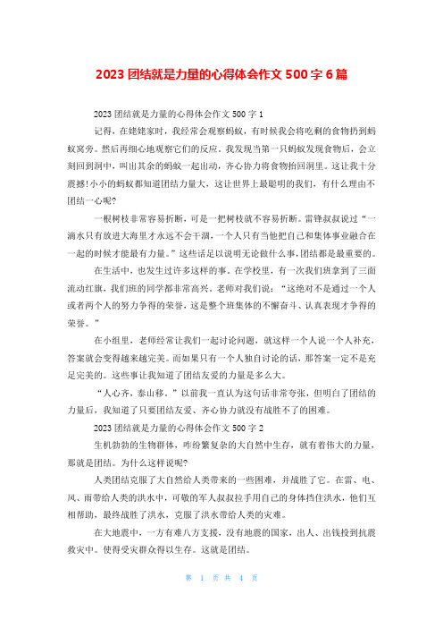 2023团结就是力量的心得体会作文500字6篇