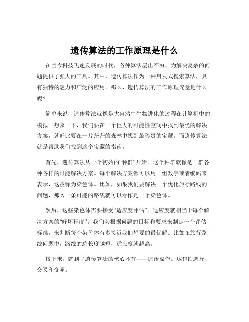 遗传算法的工作原理是什么