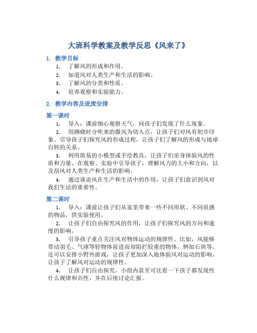 大班科学教案及教学反思《风来了》