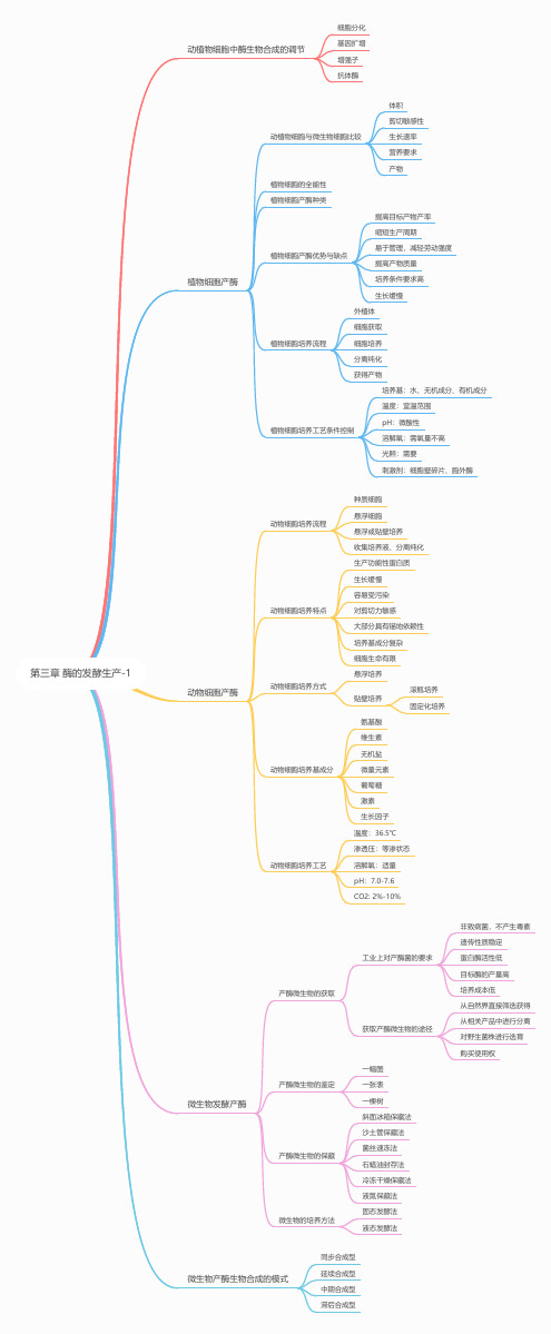 03 第三章 酶的发酵生产1思维导图