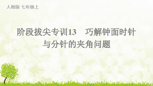 人教版2024-2025学年七年级数学上册阶段拔尖专训13 巧解钟面时针与分针的夹角问题