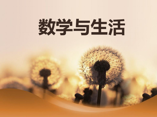 生活中的美丽数学