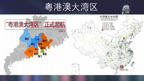 2019高考政治粤港澳建设大湾区课件