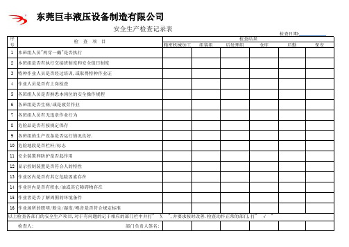 安全生产检查记录表