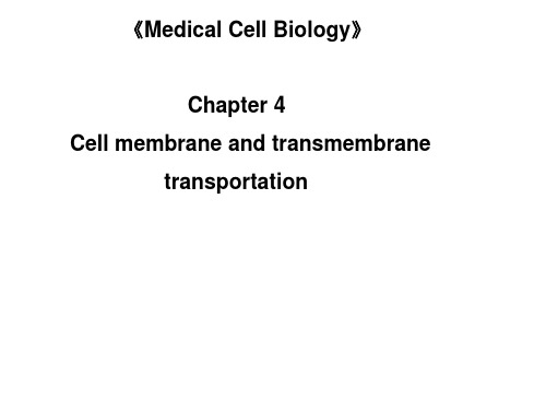 细胞生物学英文课件：细胞膜及物质的穿膜运输1