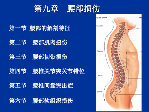 第九章腰部损伤选编