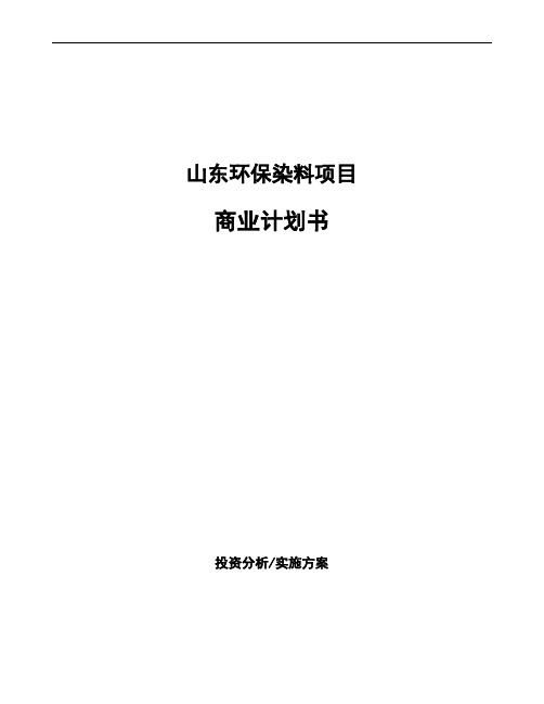 山东环保染料项目商业计划书