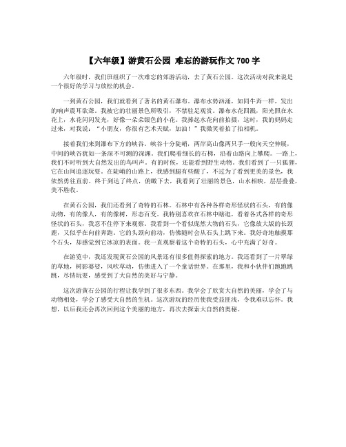 【六年级】游黄石公园 难忘的游玩作文700字