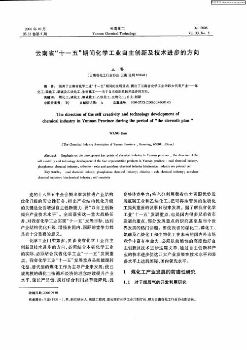 云南省“十一五”期间化学工业自主创新及技术进步的方向