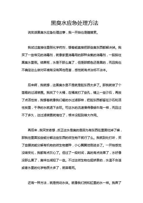 黑臭水应急处理方法