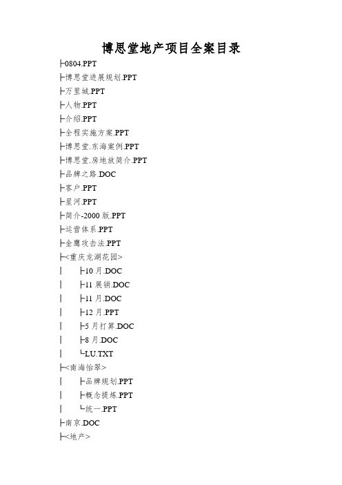 博思堂地产项目全案目录