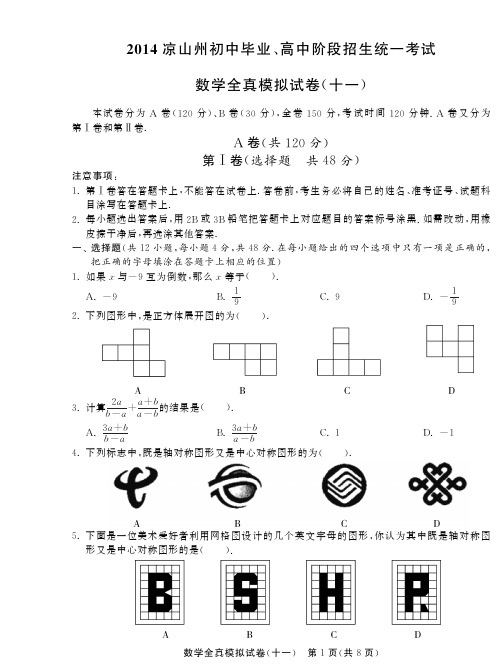 2014届四川凉山州中考数学全真模拟试卷(十一)