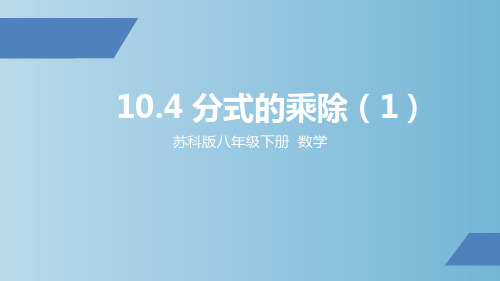 苏科版八年级下册  数学10.4 分式的乘除