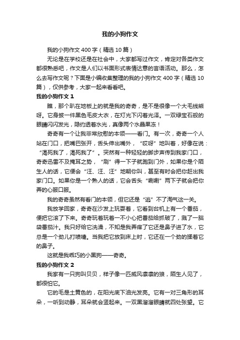 我的小狗作文400字（精选10篇）