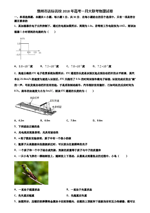 惠州市达标名校2018年高考一月大联考物理试卷含解析