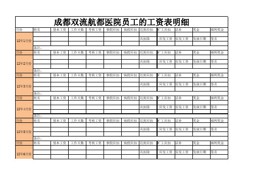 成都双流航都医院员工工资表明细