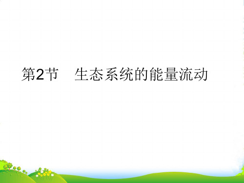 【状元之路】高中生物第一轮复习 第2节生态系统的能量流动课件