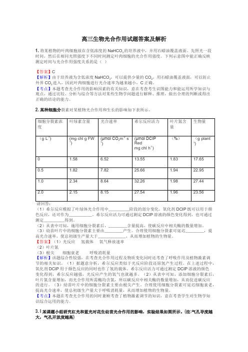 高三生物光合作用试题答案及解析
