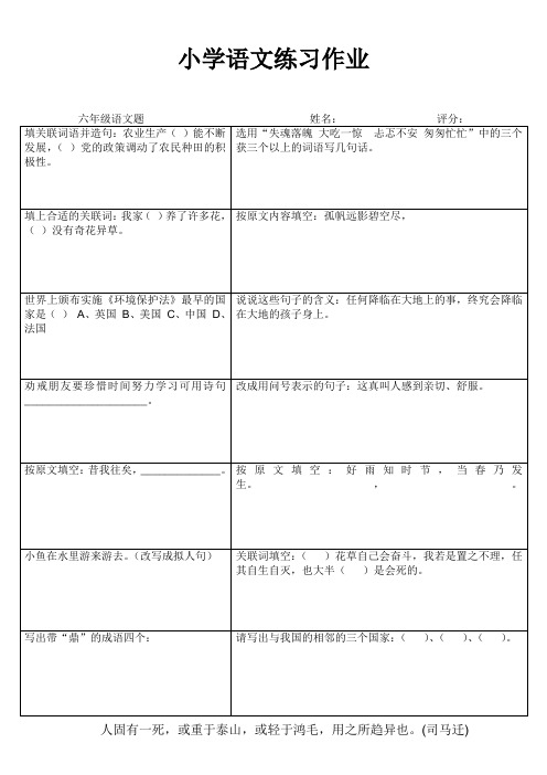 小学六年级语文素养提升练习24 (142)