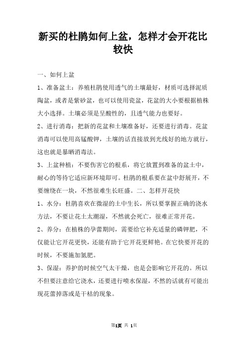 新买的杜鹃如何上盆,怎样才会开花比较快 