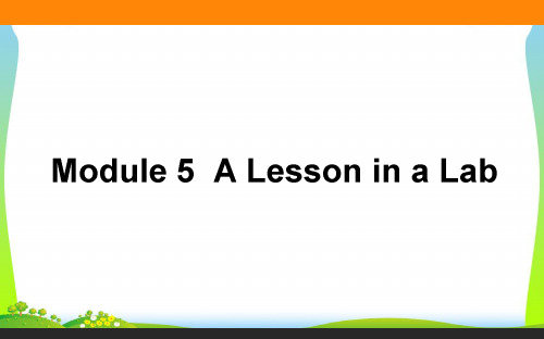 高考(外研版)一轮复习构想(课件)1.5必修一Module 5 A Lesson in a Lab