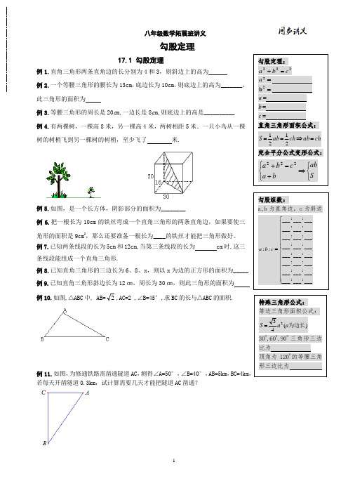 精品 八年级数学下册 勾股定理讲义+练习